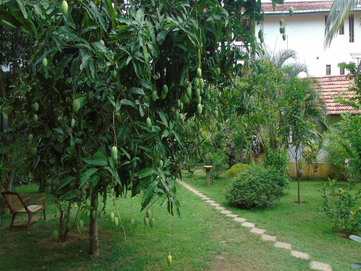 Secret Bay Hotel Matara Luaran gambar